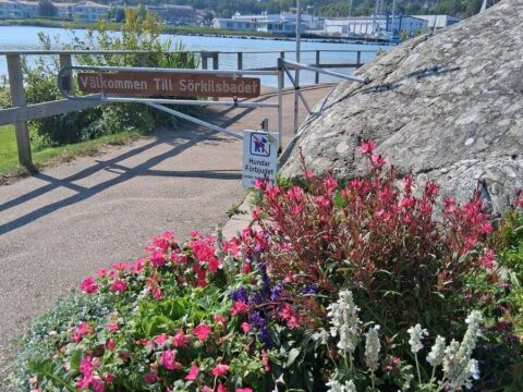 Hostel Varvet in Ellös